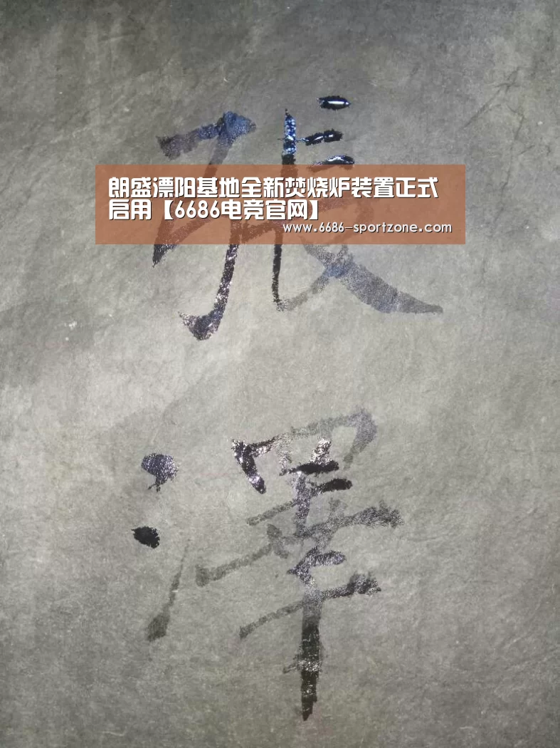 朗盛溧阳基地全新焚烧炉装置正式启用【6686电竞官网】(图1) 6686电竞竞猜